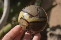 Polished Septerye Spheres x 4 From Mahajanga, Madagascar - Toprock Gemstones and Minerals