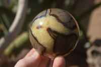 Polished Septerye Spheres x 4 From Mahajanga, Madagascar - Toprock Gemstones and Minerals