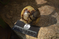 Polished Septerye Spheres x 4 From Mahajanga, Madagascar - Toprock Gemstones and Minerals