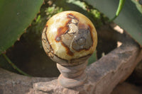 Polished Septerye Spheres x 4 From Mahajanga, Madagascar - Toprock Gemstones and Minerals