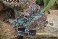 Natural Ball Malachite On Red Dolomite Matrix Specimen x 1 From Likasi, Congo - Toprock Gemstones and Minerals