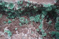Natural Ball Malachite On Red Dolomite Matrix Specimen x 1 From Likasi, Congo - Toprock Gemstones and Minerals