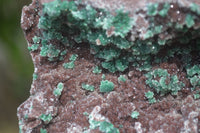 Natural Ball Malachite On Red Dolomite Matrix Specimen x 1 From Likasi, Congo - Toprock Gemstones and Minerals