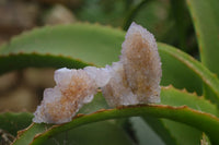 Natural Ametrine Spirit Quartz Crystals x 24 From Boekenhouthoek, South Africa - Toprock Gemstones and Minerals