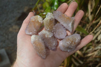 Natural Ametrine Spirit Quartz Crystals x 24 From Boekenhouthoek, South Africa - Toprock Gemstones and Minerals