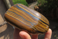 Polished Tiger's Eye Free Forms x 3 From Prieska, South Africa - Toprock Gemstones and Minerals