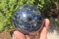 Polished Iolite Water Sapphire Spheres x 2 From Madagascar - Toprock Gemstones and Minerals