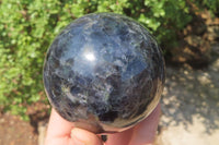 Polished Iolite Water Sapphire Spheres x 2 From Madagascar - Toprock Gemstones and Minerals