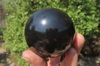 Polished Black Basalt Spheres x 12 From Madagascar - Toprock Gemstones and Minerals