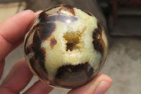 Polished Septerye Spheres x 6 From Mahajanga, Madagascar - Toprock Gemstones and Minerals