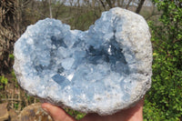 Natural Blue Celestite Geode Specimen x 1 From Sakoany, Madagascar - Toprock Gemstones and Minerals