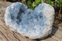 Natural Blue Celestite Geode Specimen x 1 From Sakoany, Madagascar - Toprock Gemstones and Minerals