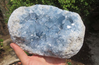 Natural Blue Celestite Geode Specimen x 1 From Sakoany, Madagascar - Toprock Gemstones and Minerals