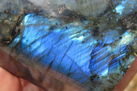 Polished Labradorite Standing Free Form x 1 From Tulear, Madagascar - Toprock Gemstones and Minerals