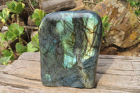 Polished Labradorite Standing Free Form x 1 From Tulear, Madagascar - Toprock Gemstones and Minerals
