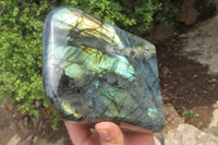 Polished Labradorite Standing Free Form x 1 From Tulear, Madagascar - Toprock Gemstones and Minerals