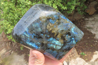Polished Labradorite Standing Free Form x 1 From Tulear, Madagascar - Toprock Gemstones and Minerals