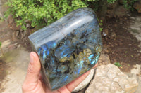 Polished Labradorite Standing Free Form x 1 From Tulear, Madagascar - Toprock Gemstones and Minerals