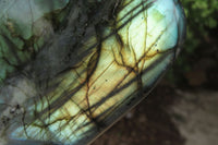Polished Labradorite Standing Free Form x 1 From Tulear, Madagascar - Toprock Gemstones and Minerals