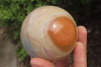 Polished Polychrome Jasper Spheres x 2 From Madagascar - Toprock Gemstones and Minerals