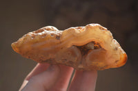 Polished On One Side River Agate Nodules x 6 From Zimbabwe - Toprock Gemstones and Minerals