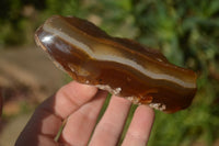 Polished On One Side River Agate Nodules x 6 From Zimbabwe - Toprock Gemstones and Minerals