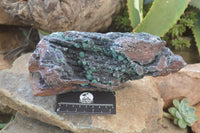Natural Ball Malachite On Quartz Matrix Specimen x 1 From Kambove, Congo - Toprock Gemstones and Minerals