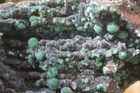 Natural Ball Malachite On Quartz Matrix Specimen x 1 From Kambove, Congo - Toprock Gemstones and Minerals