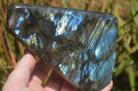 Polished Labradorite Standing Free Forms x 2 From Tulear, Madagascar - Toprock Gemstones and Minerals
