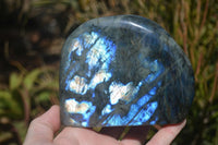 Polished Labradorite Standing Free Forms x 2 From Tulear, Madagascar - Toprock Gemstones and Minerals