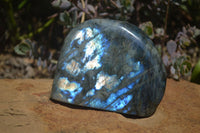 Polished Labradorite Standing Free Forms x 2 From Tulear, Madagascar - Toprock Gemstones and Minerals