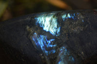 Polished Labradorite Standing Free Forms x 2 From Tulear, Madagascar - Toprock Gemstones and Minerals