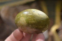 Polished Green Opal Palm Stones x 12 From Madagascar - Toprock Gemstones and Minerals