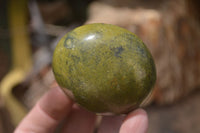 Polished Green Opal Palm Stones x 12 From Madagascar - Toprock Gemstones and Minerals
