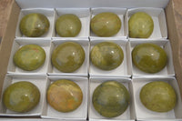 Polished Green Opal Palm Stones x 12 From Madagascar - Toprock Gemstones and Minerals