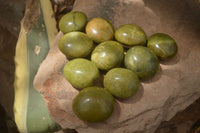 Polished Green Opal Palm Stones x 12 From Madagascar - Toprock Gemstones and Minerals