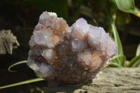 Natural Ametrine Spirit Quartz Cluster x 1 From Boekenhouthoek, South Africa - Toprock Gemstones and Minerals