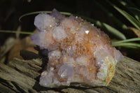 Natural Ametrine Spirit Quartz Cluster x 1 From Boekenhouthoek, South Africa - Toprock Gemstones and Minerals