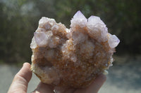 Natural Ametrine Spirit Quartz Cluster x 1 From Boekenhouthoek, South Africa - Toprock Gemstones and Minerals