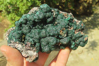 Natural Ball Malachite On Quartz Matrix Specimen x 1 From Kambove, Congo - Toprock Gemstones and Minerals