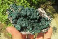 Natural Ball Malachite On Quartz Matrix Specimen x 1 From Kambove, Congo - Toprock Gemstones and Minerals