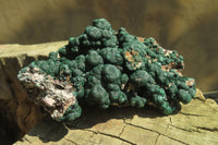 Natural Ball Malachite On Quartz Matrix Specimen x 1 From Kambove, Congo - Toprock Gemstones and Minerals