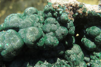 Natural Ball Malachite On Quartz Matrix Specimen x 1 From Kambove, Congo - Toprock Gemstones and Minerals