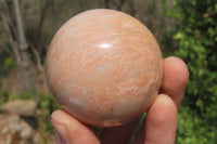 Polished Peach Moonstone Spheres x 6 From Madagascar - Toprock Gemstones and Minerals