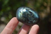 Polished Labradorite Palm Stones x 20 From Tulear, Madagascar - Toprock Gemstones and Minerals