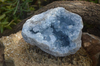Natural Celestite Geode Specimen x 1 From Sakoany, Madagascar - Toprock Gemstones and Minerals