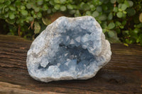 Natural Celestite Geode Specimen x 1 From Sakoany, Madagascar - Toprock Gemstones and Minerals
