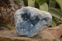 Natural Celestite Geode Specimen x 1 From Sakoany, Madagascar - Toprock Gemstones and Minerals