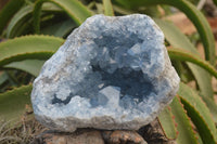 Natural Celestite Geode Specimen x 1 From Sakoany, Madagascar - Toprock Gemstones and Minerals