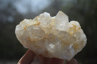 Natural Limonite Quartz Clusters x 12 From Solwezi, Zambia - Toprock Gemstones and Minerals